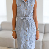 Aimee Pin Striped Dress-Denim